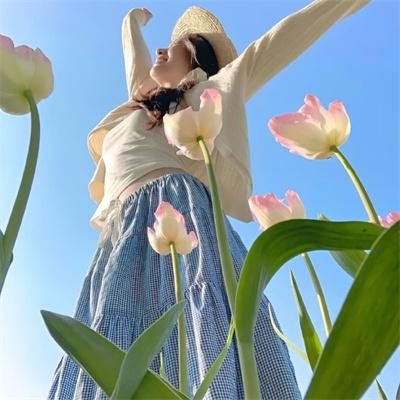 万花嬉春